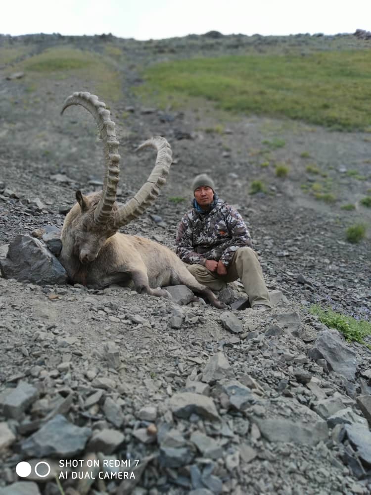 Company Director and Professional Guide